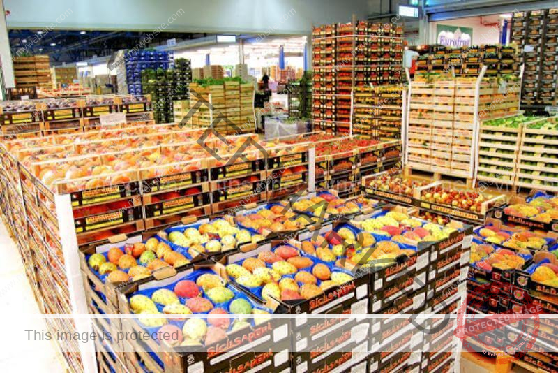 Kho lạnh bảo quản trái cây giữ nguyên chất lượng. 