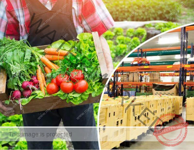 Kho lạnh bảo quản nông sản hiệu quả.