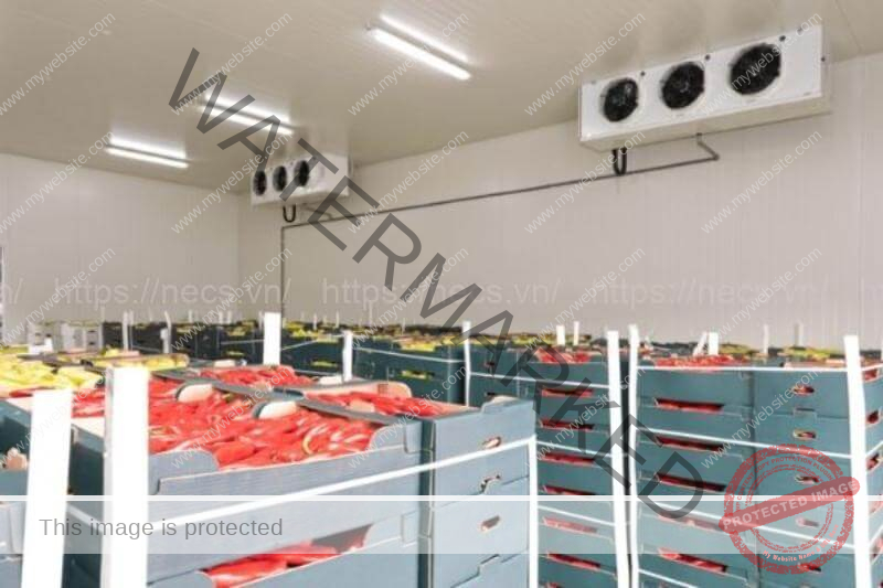 Tiền điện và khoản phí duy trì vận hành khá lớn khi lắp kho lạnh bảo quản. 