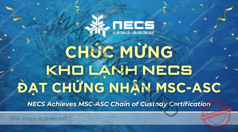 Red and White Simple Hail Damage Car Service Facebook App Red and White Simple Hail Damage Car Service Facebook App