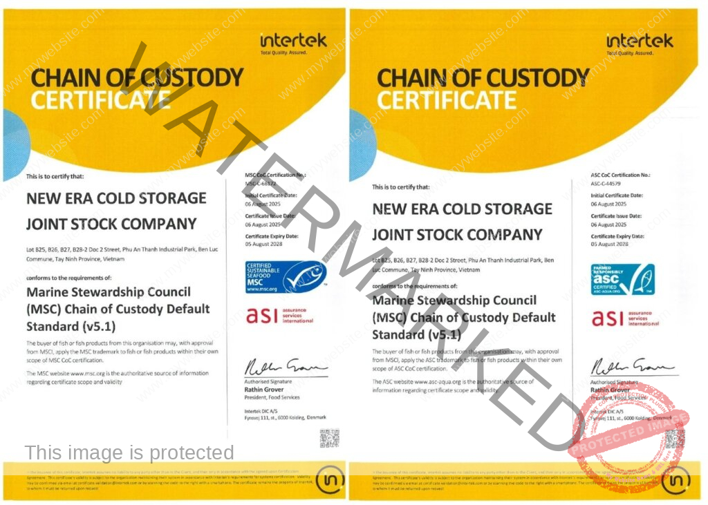 Untitled design Untitled design